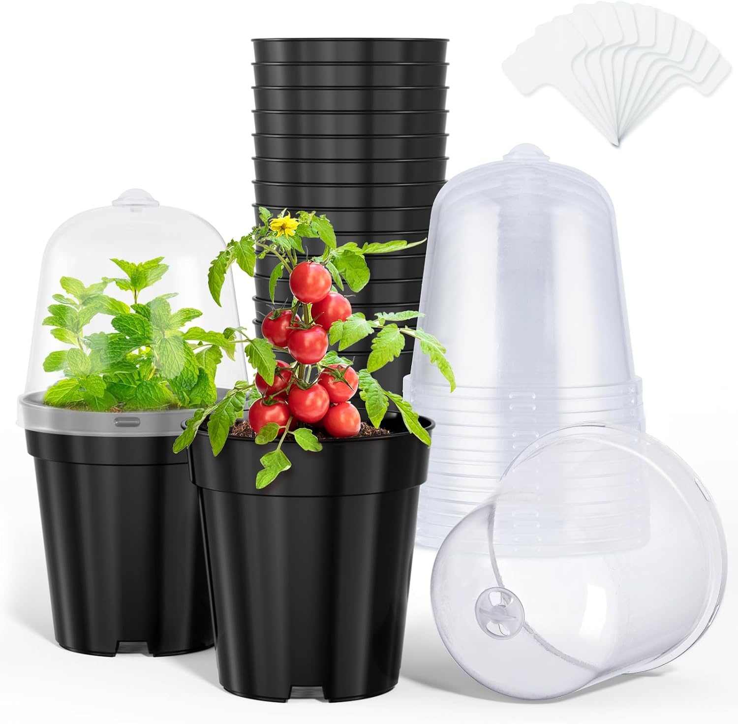 image:imagehomenote 34 Inch Clear Nursery Pots with Drainage Holes and Tags 20 Pcs  Reusable plastic planters have raised bases for airflow and transplanting ideal for seed starting cuttings and succulentsBlackwith Lid