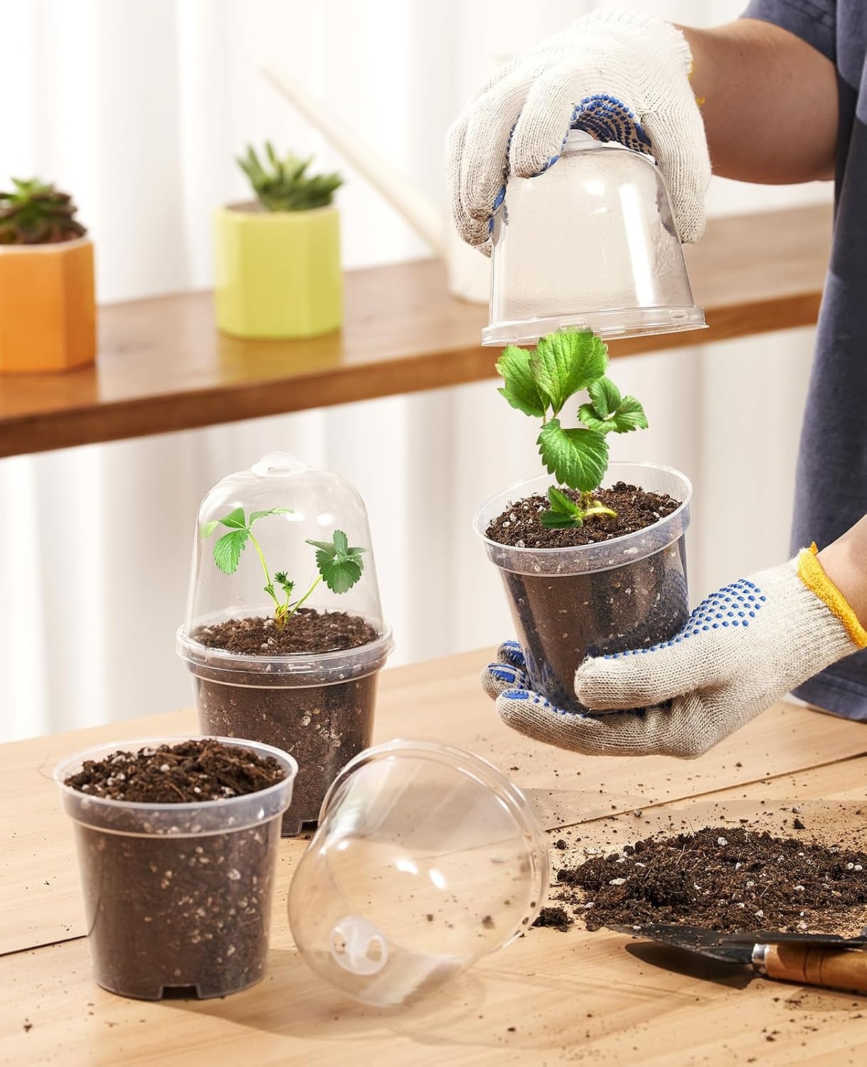 image:imagehomenote 34 Inch Clear Nursery Pots with Drainage Holes and Tags 20 Pcs  Reusable plastic planters have raised bases for airflow and transplanting ideal for seed starting cuttings and succulentsTransparencywith Lid
