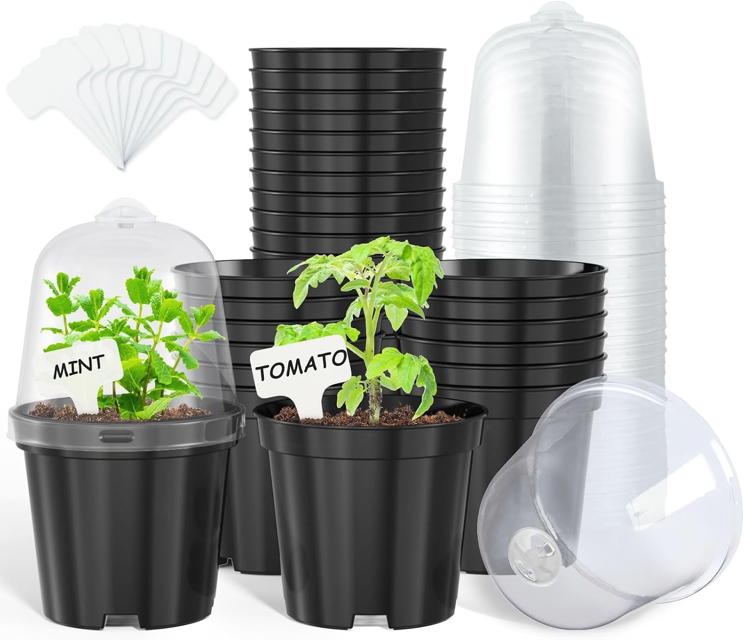 image:imagehomenote 34 Inch Clear Nursery Pots with Drainage Holes and Tags 20 Pcs  Reusable plastic planters have raised bases for airflow and transplanting ideal for seed starting cuttings and succulentsBlackwith Lid