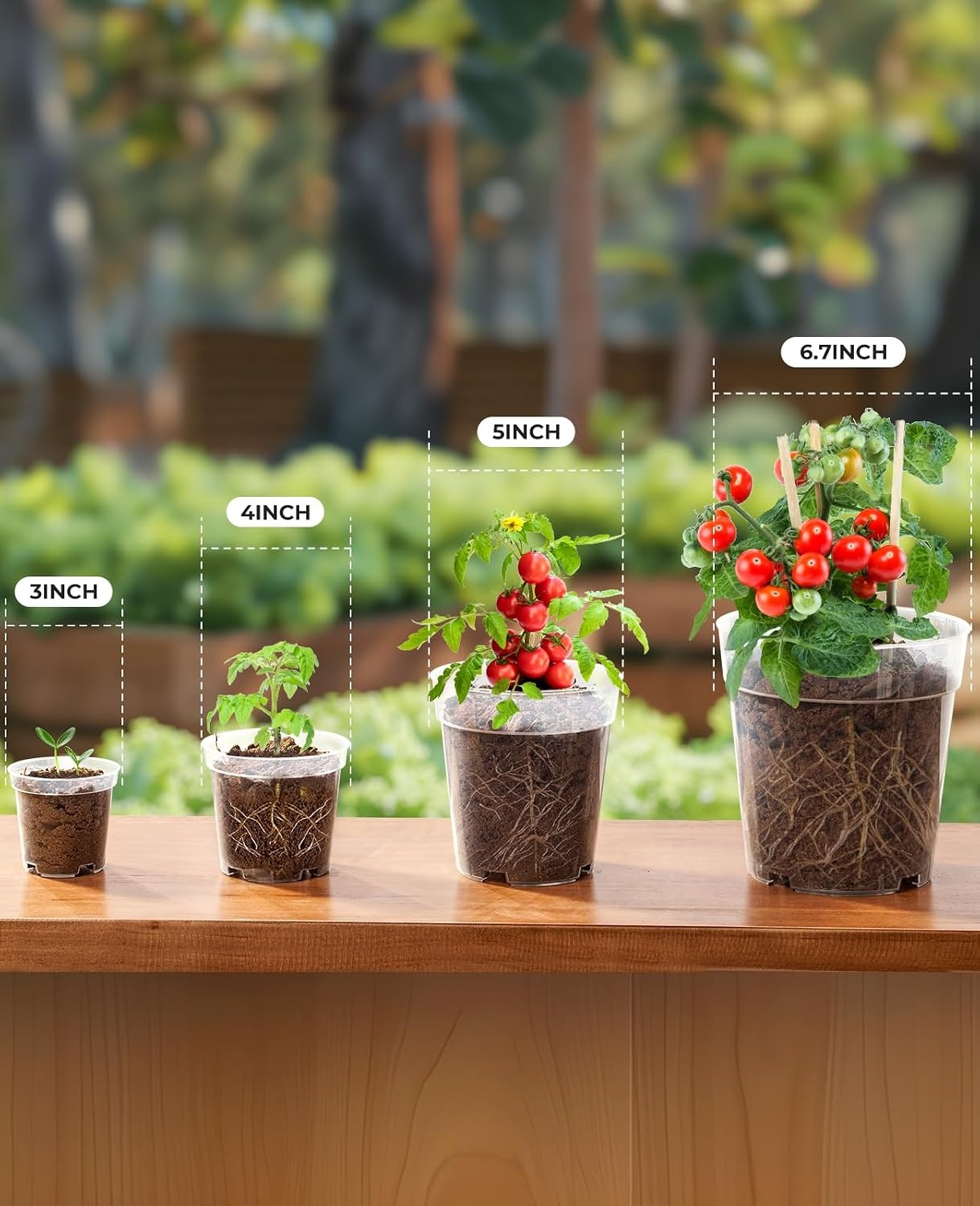 image:imagehomenote 34 Inch Clear Nursery Pots with Drainage Holes and Tags 20 Pcs  Reusable plastic planters have raised bases for airflow and transplanting ideal for seed starting cuttings and succulentsTransparencyno Lid