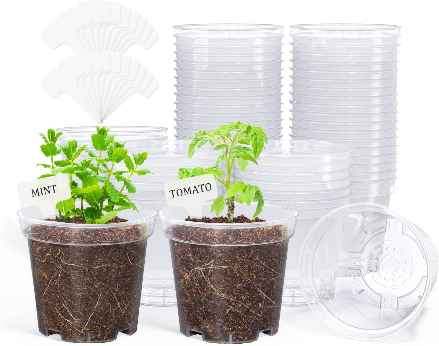 image:imagehomenote 34 Inch Clear Nursery Pots with Drainage Holes and Tags 20 Pcs  Reusable plastic planters have raised bases for airflow and transplanting ideal for seed starting cuttings and succulentsTransparencyno Lid
