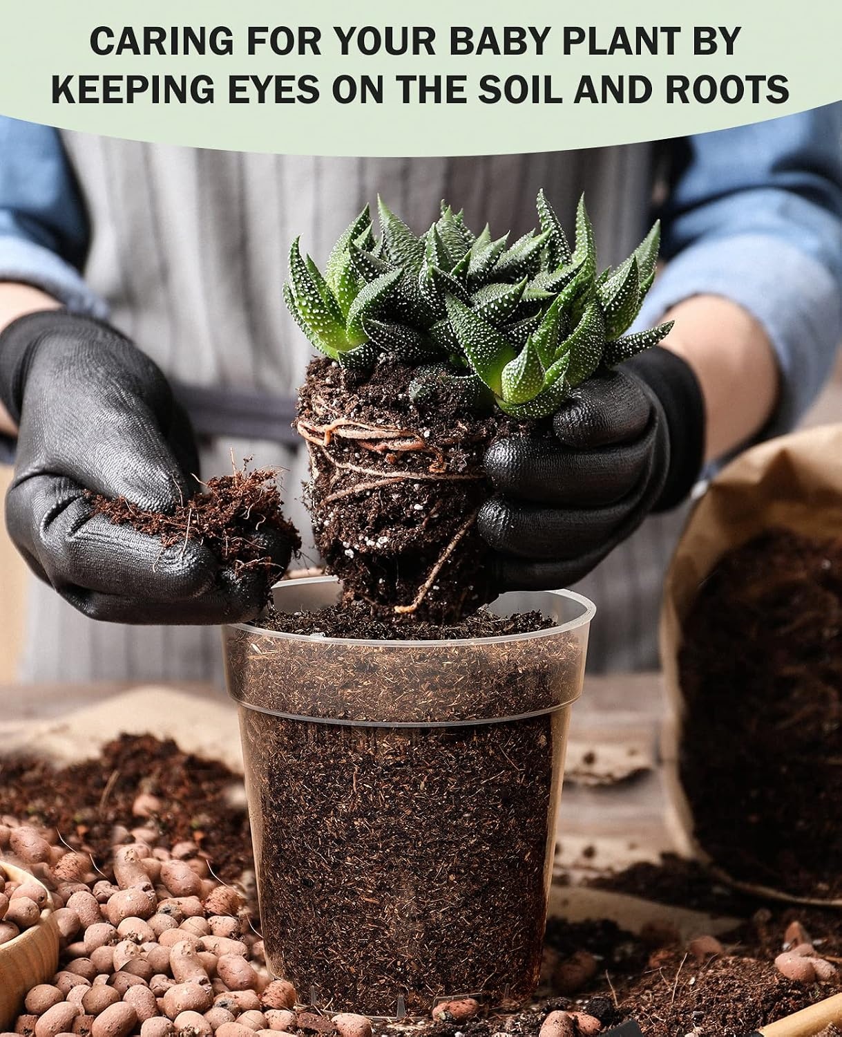 image:imagehomenote 34 Inch Clear Nursery Pots with Drainage Holes and Tags 20 Pcs  Reusable plastic planters have raised bases for airflow and transplanting ideal for seed starting cuttings and succulentsTransparencywith Lid