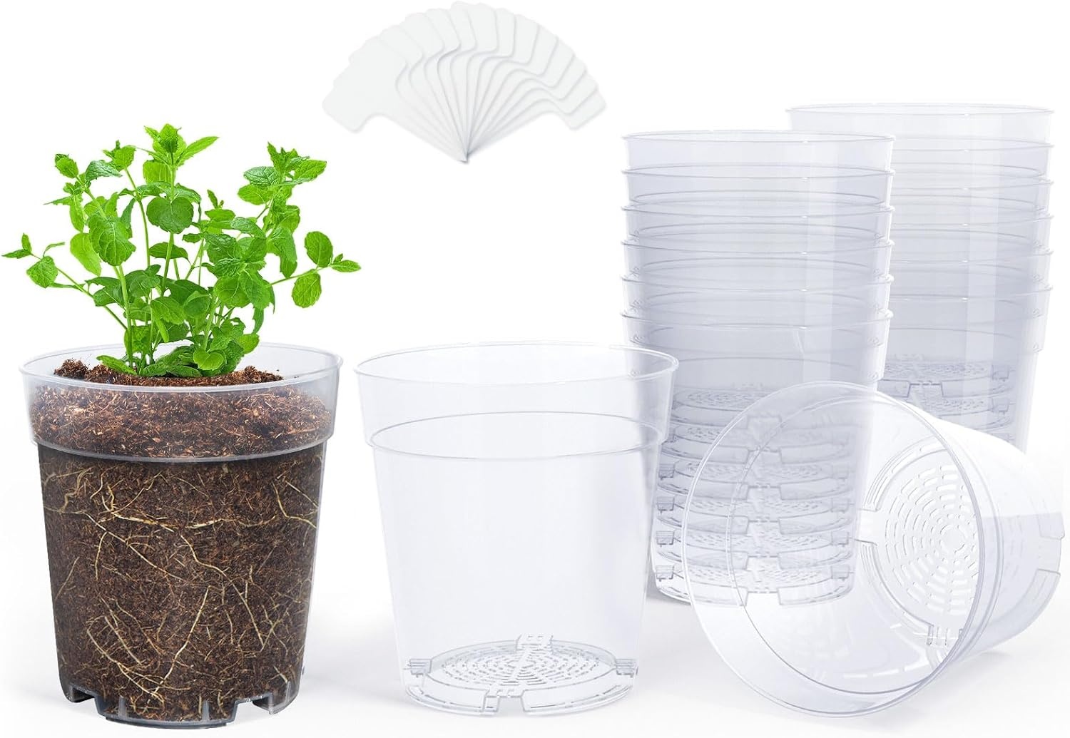 image:imagehomenote 34 Inch Clear Nursery Pots with Drainage Holes and Tags 20 Pcs  Reusable plastic planters have raised bases for airflow and transplanting ideal for seed starting cuttings and succulentsClear