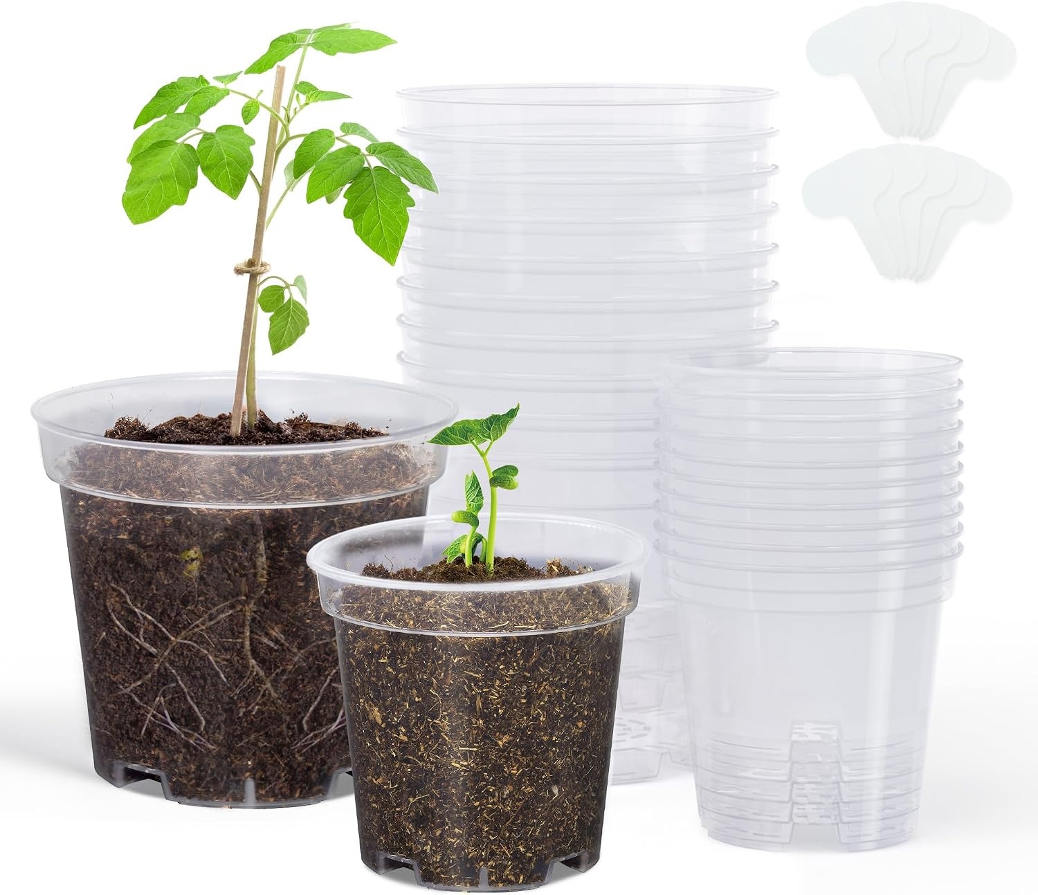 image:imagehomenote 34 Inch Clear Nursery Pots with Drainage Holes and Tags 20 Pcs  Reusable plastic planters have raised bases for airflow and transplanting ideal for seed starting cuttings and succulentsTransparencyno Lid