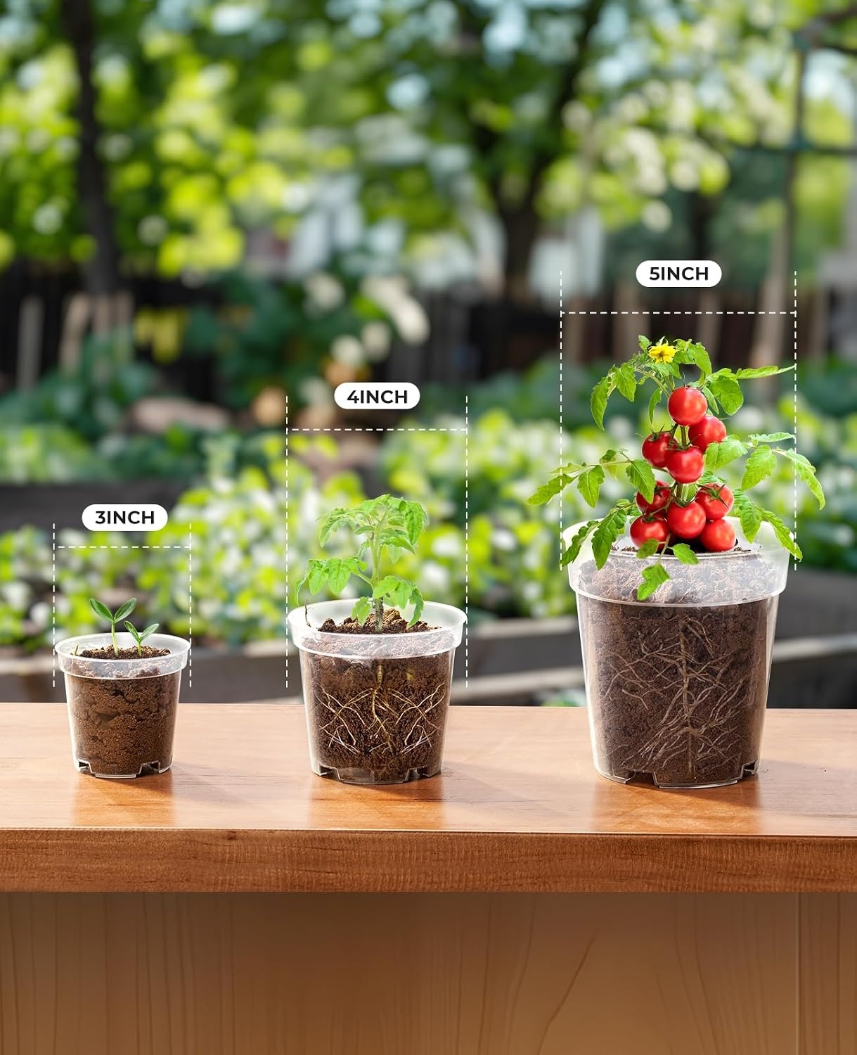 image:imagehomenote 34 Inch Clear Nursery Pots with Drainage Holes and Tags 20 Pcs  Reusable plastic planters have raised bases for airflow and transplanting ideal for seed starting cuttings and succulentsTransparencyno Lid