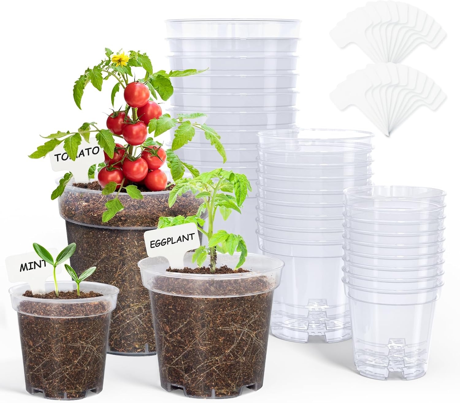 image:imagehomenote 34 Inch Clear Nursery Pots with Drainage Holes and Tags 20 Pcs  Reusable plastic planters have raised bases for airflow and transplanting ideal for seed starting cuttings and succulentsTransparencyno Lid