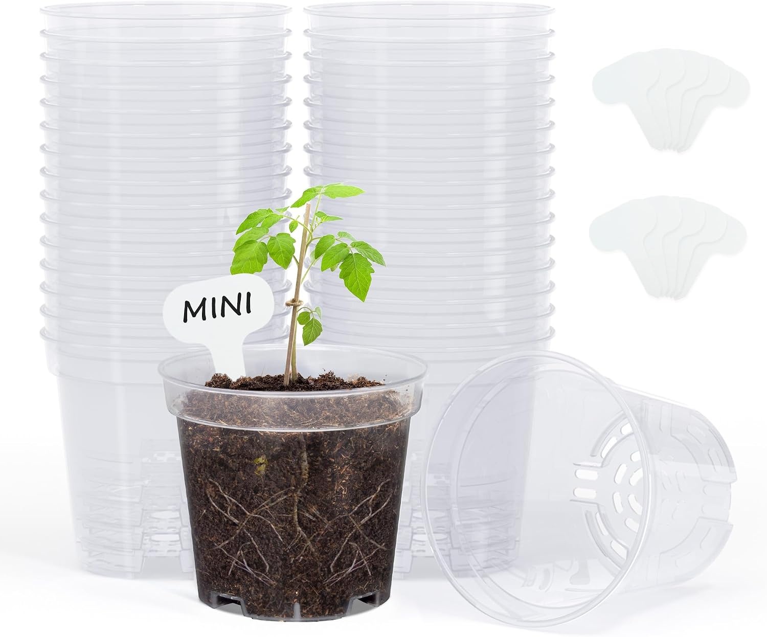 image:imagehomenote 34 Inch Clear Nursery Pots with Drainage Holes and Tags 20 Pcs  Reusable plastic planters have raised bases for airflow and transplanting ideal for seed starting cuttings and succulentsTransparencyno Lid
