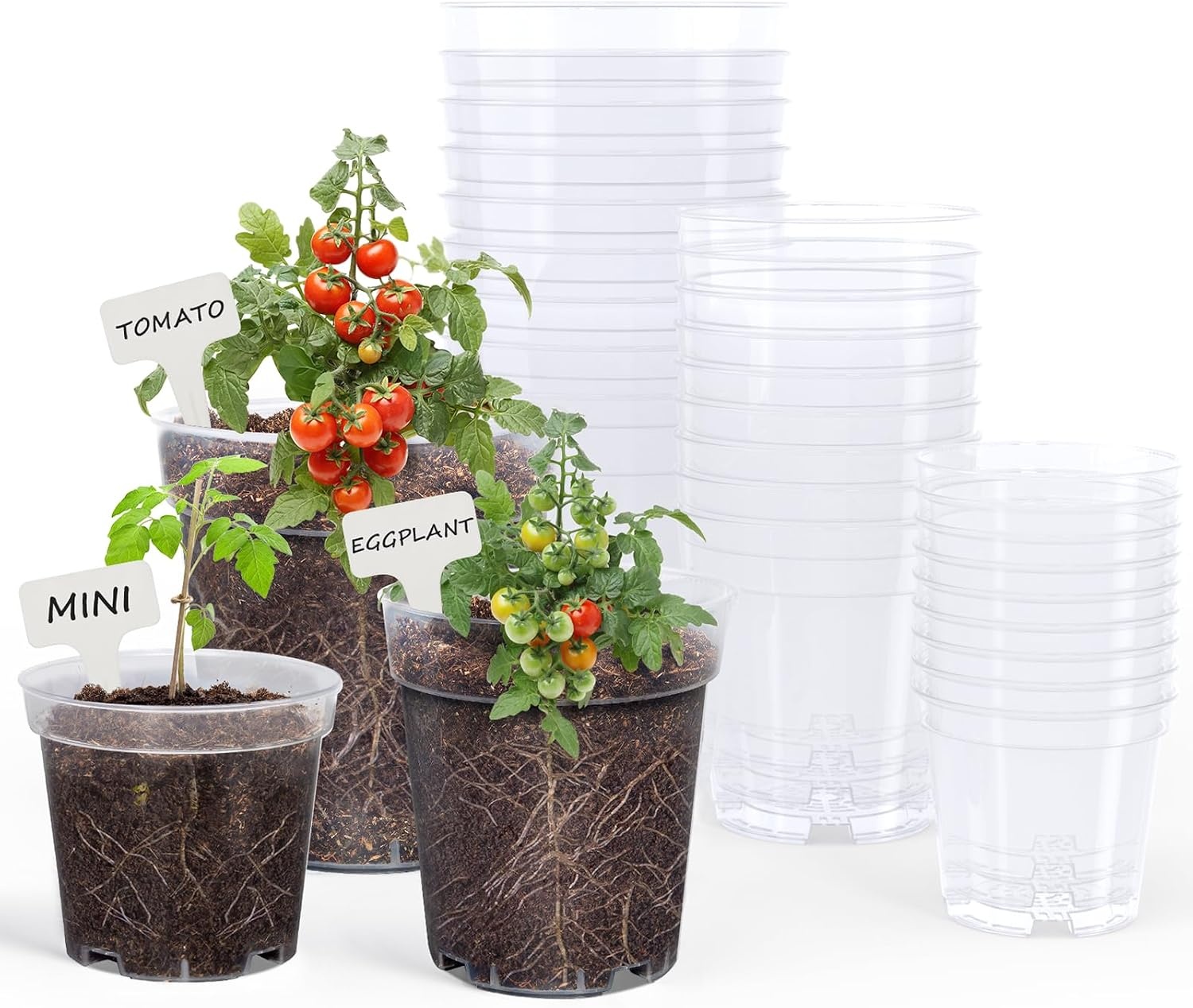 image:imagehomenote 34 Inch Clear Nursery Pots with Drainage Holes and Tags 20 Pcs  Reusable plastic planters have raised bases for airflow and transplanting ideal for seed starting cuttings and succulentsTransparencyno Lid