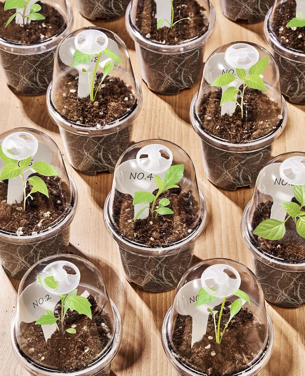 image:imagehomenote 34 Inch Clear Nursery Pots with Drainage Holes and Tags 20 Pcs  Reusable plastic planters have raised bases for airflow and transplanting ideal for seed starting cuttings and succulentsTransparencywith Lid