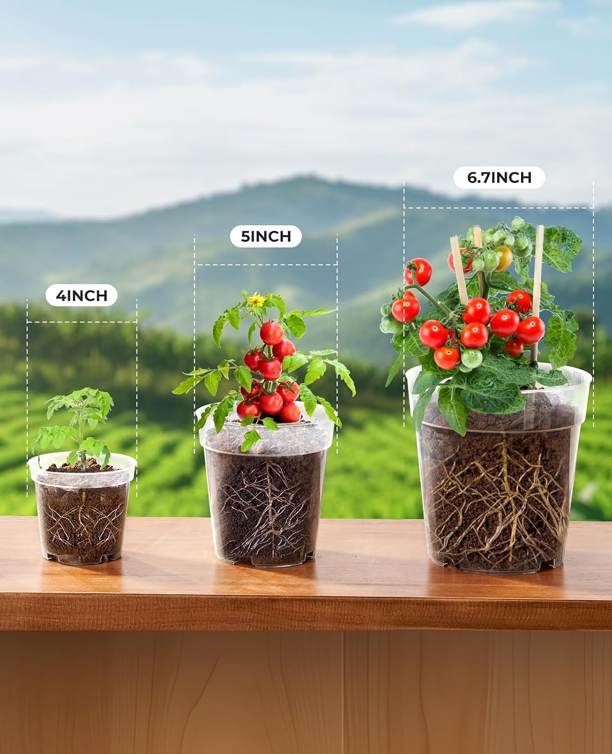 image:imagehomenote 34 Inch Clear Nursery Pots with Drainage Holes and Tags 20 Pcs  Reusable plastic planters have raised bases for airflow and transplanting ideal for seed starting cuttings and succulentsTransparencyno Lid