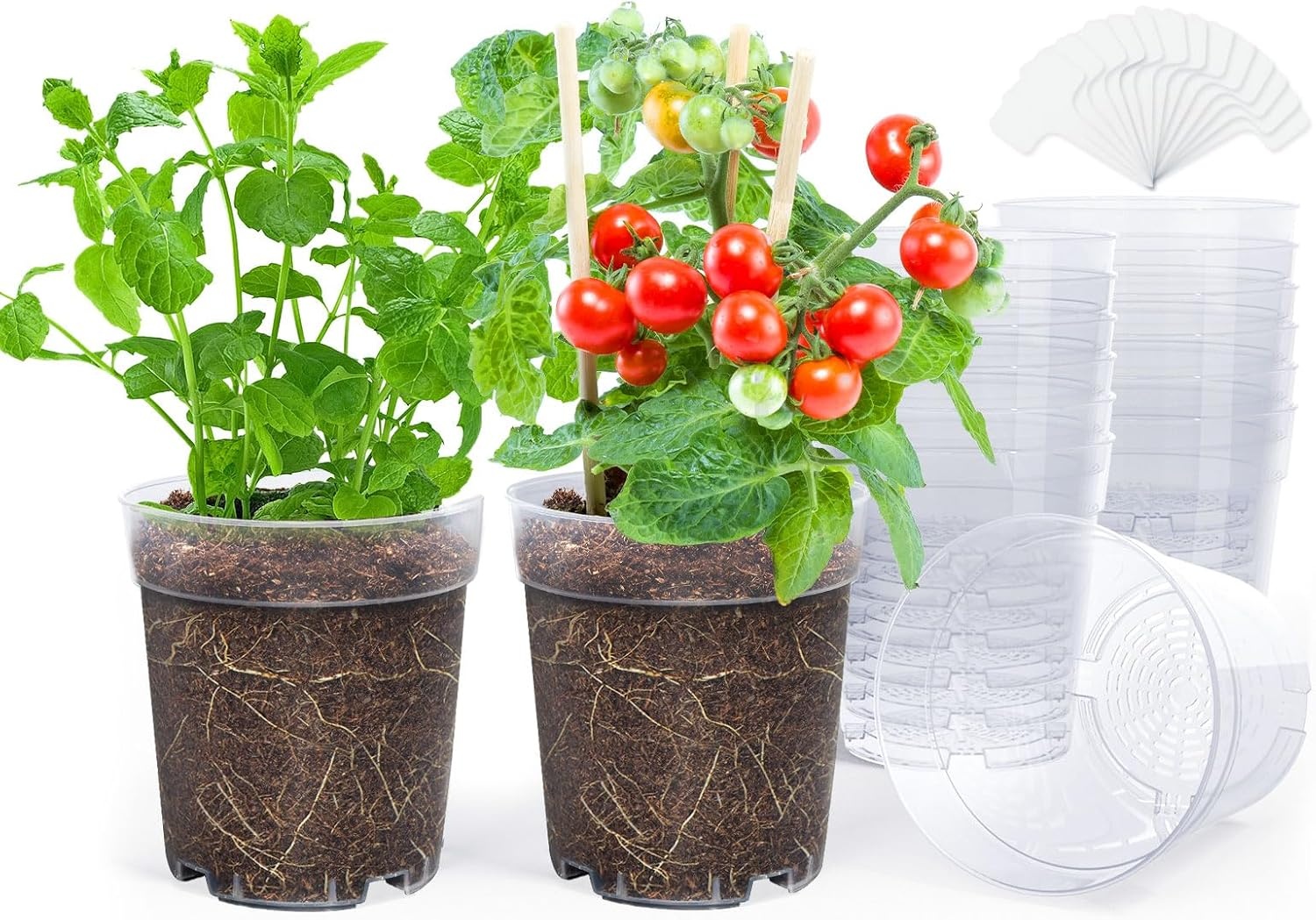 image:imagehomenote 34 Inch Clear Nursery Pots with Drainage Holes and Tags 20 Pcs  Reusable plastic planters have raised bases for airflow and transplanting ideal for seed starting cuttings and succulentsClear