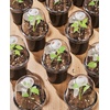 image:imagehomenote 34 Inch Clear Nursery Pots with Drainage Holes and Tags 20 Pcs  Reusable plastic planters have raised bases for airflow and transplanting ideal for seed starting cuttings and succulentsBlackwith Lid