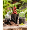 image:imagehomenote 34 Inch Clear Nursery Pots with Drainage Holes and Tags 20 Pcs  Reusable plastic planters have raised bases for airflow and transplanting ideal for seed starting cuttings and succulentsBlackwith Lid