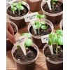 image:imagehomenote 34 Inch Clear Nursery Pots with Drainage Holes and Tags 20 Pcs  Reusable plastic planters have raised bases for airflow and transplanting ideal for seed starting cuttings and succulentsClear