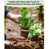 image:imagehomenote 34 Inch Clear Nursery Pots with Drainage Holes and Tags 20 Pcs  Reusable plastic planters have raised bases for airflow and transplanting ideal for seed starting cuttings and succulentsTransparencyno Lid