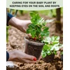 image:imagehomenote 34 Inch Clear Nursery Pots with Drainage Holes and Tags 20 Pcs  Reusable plastic planters have raised bases for airflow and transplanting ideal for seed starting cuttings and succulentsTransparencyno Lid