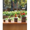 image:imagehomenote 34 Inch Clear Nursery Pots with Drainage Holes and Tags 20 Pcs  Reusable plastic planters have raised bases for airflow and transplanting ideal for seed starting cuttings and succulentsTransparencyno Lid