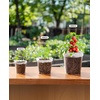 image:imagehomenote 34 Inch Clear Nursery Pots with Drainage Holes and Tags 20 Pcs  Reusable plastic planters have raised bases for airflow and transplanting ideal for seed starting cuttings and succulentsTransparencyno Lid