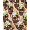 image:imagehomenote 34 Inch Clear Nursery Pots with Drainage Holes and Tags 20 Pcs  Reusable plastic planters have raised bases for airflow and transplanting ideal for seed starting cuttings and succulentsTransparencywith Lid