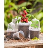 image:imagehomenote 34 Inch Clear Nursery Pots with Drainage Holes and Tags 20 Pcs  Reusable plastic planters have raised bases for airflow and transplanting ideal for seed starting cuttings and succulentsTransparencywith Lid