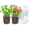 image:imagehomenote 34 Inch Clear Nursery Pots with Drainage Holes and Tags 20 Pcs  Reusable plastic planters have raised bases for airflow and transplanting ideal for seed starting cuttings and succulentsClear